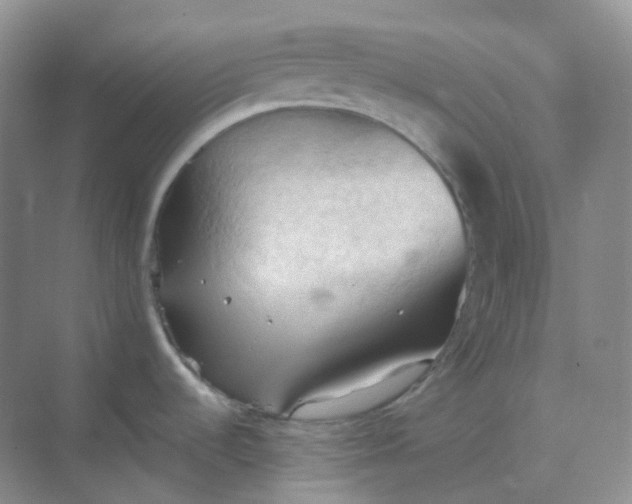 X0000068741536200605121531