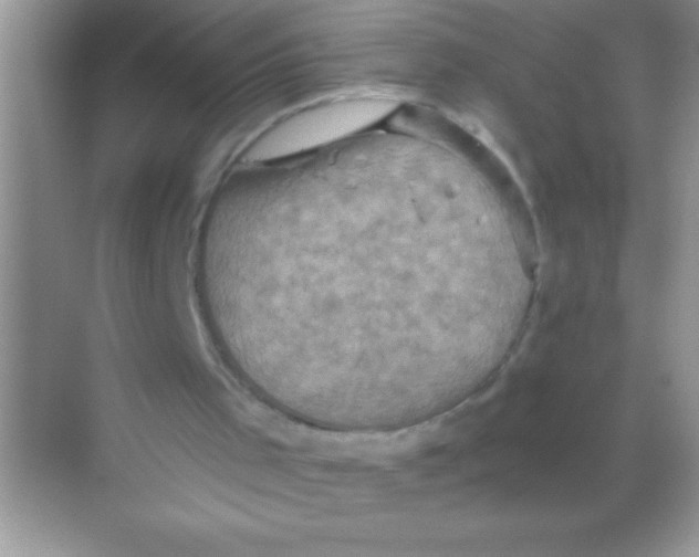 X0000068740001200605192357