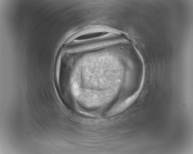 X0000068740003200605192357