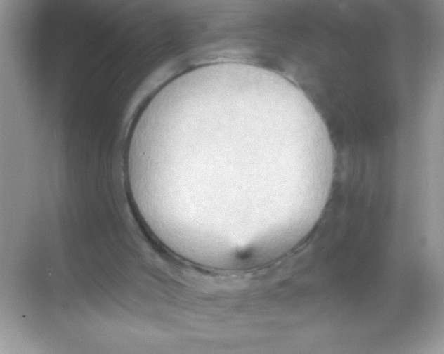 X0000068740004200605192357