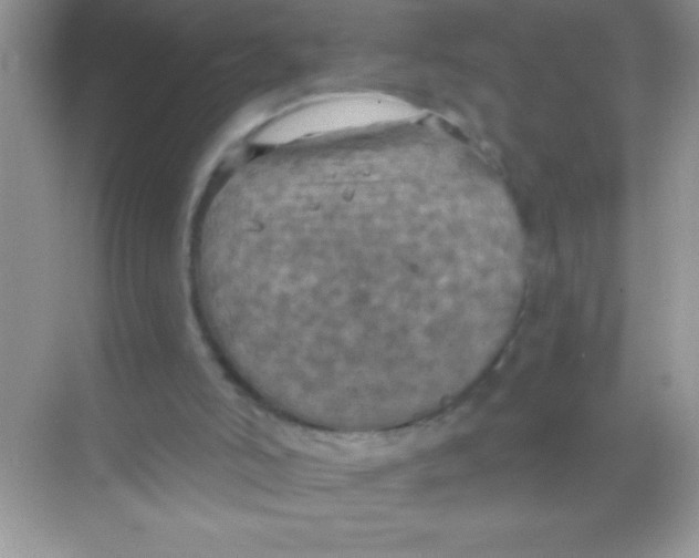 X0000068740006200605192357