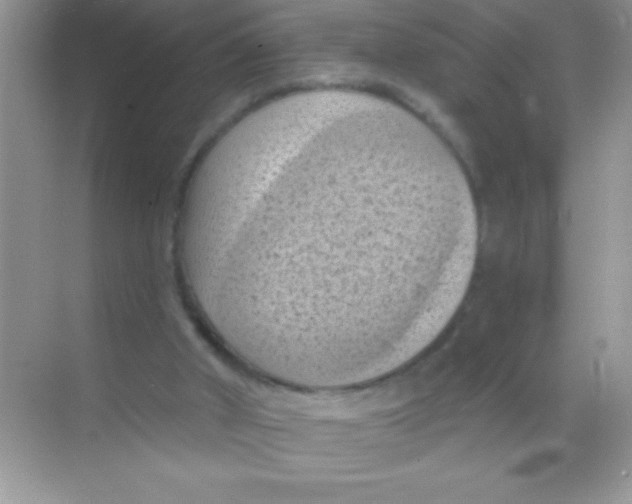 X0000068740010200605192357