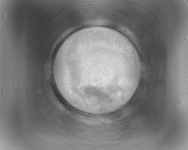 X0000068740012200605192357