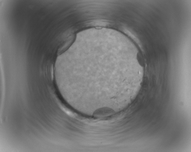 X0000068740013200605192357