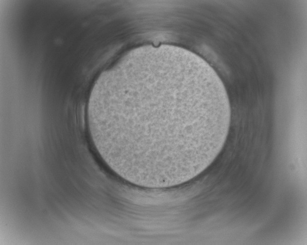 X0000068740014200605192357