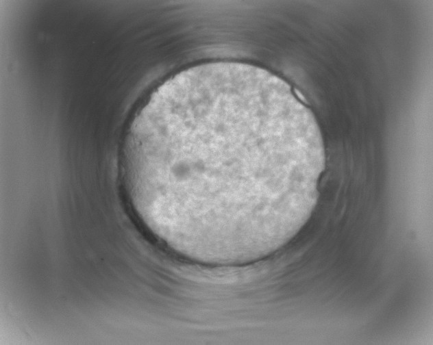 X0000068740015200605192357