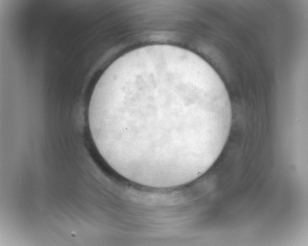 X0000068740016200605192357