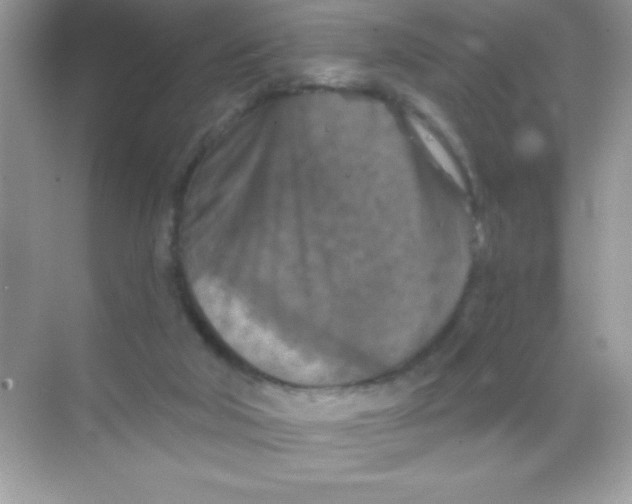 X0000068740018200605192357