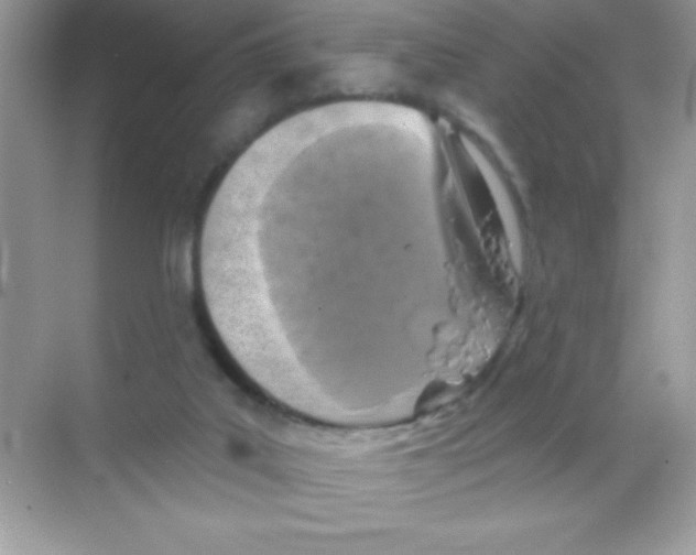 X0000068740019200605192357