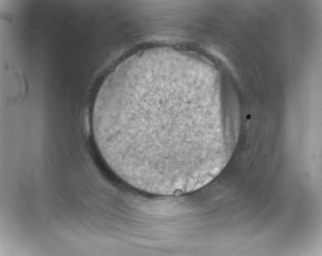 X0000068740020200605192357