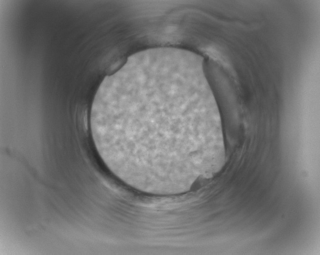 X0000068740021200605192357