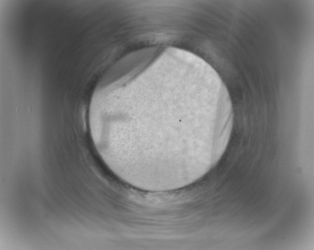 X0000068740022200605192356