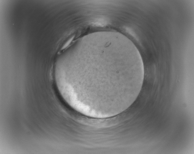 X0000068740023200605192356