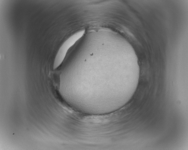 X0000068740025200605192356