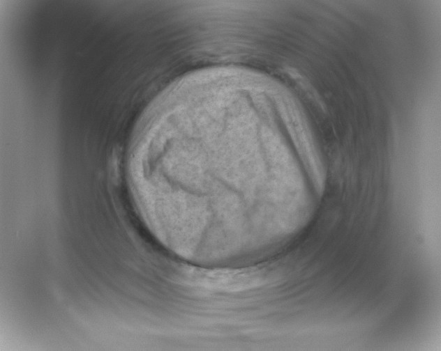 X0000068740026200605192356