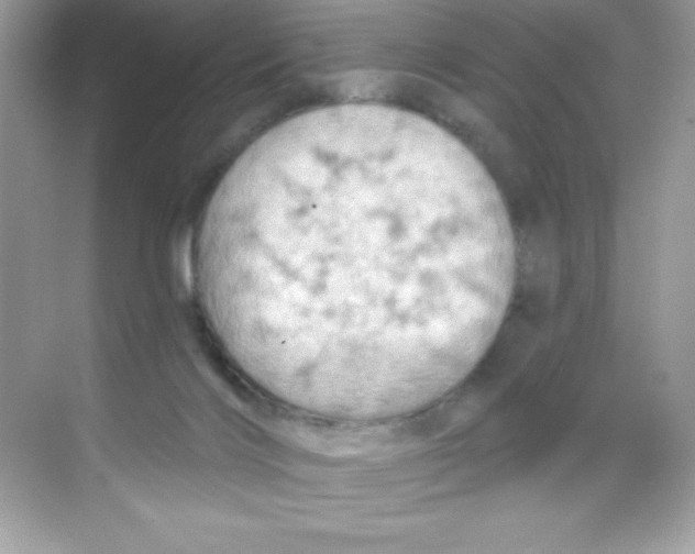 X0000068740028200605192356