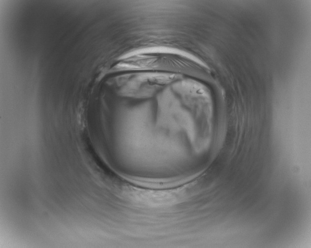 X0000068740031200605192356