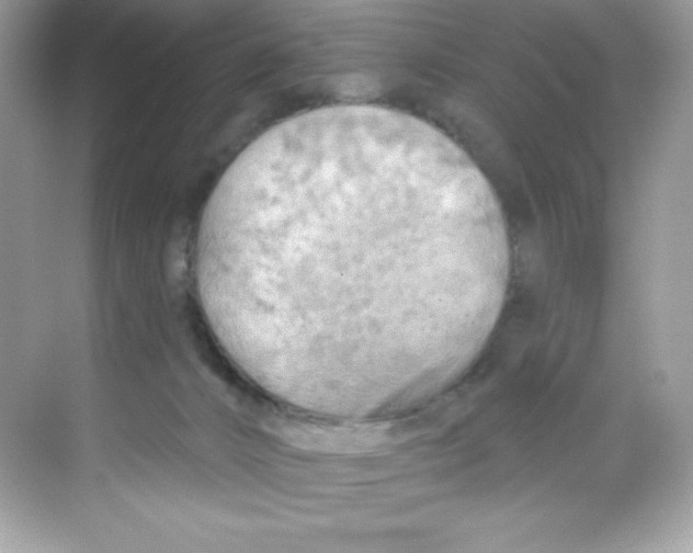 X0000068740032200605192356