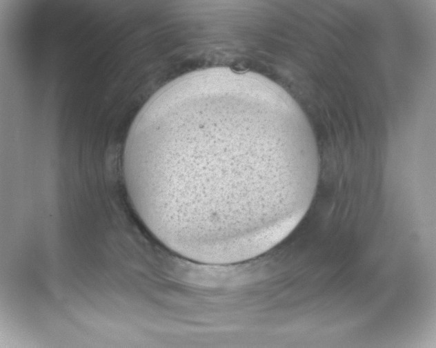 X0000068740034200605192356