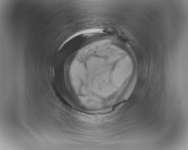 X0000068740035200605192356