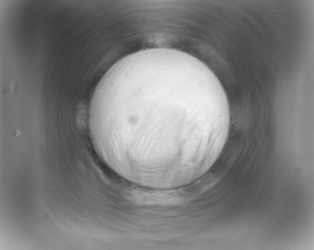 X0000068740036200605192356