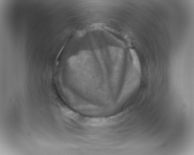 X0000068740037200605192356