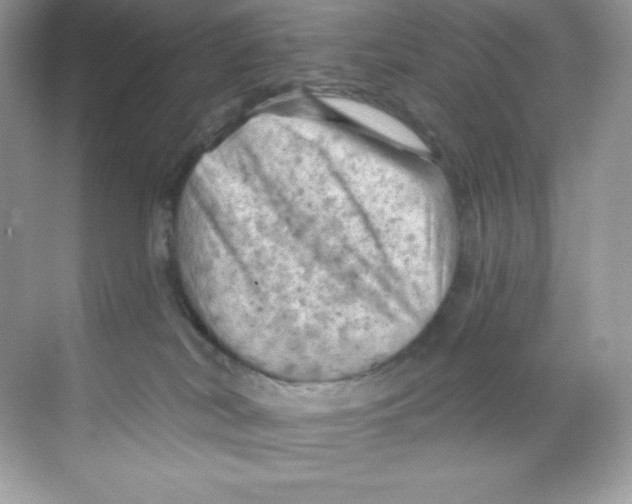 X0000068740038200605192356