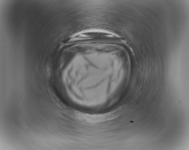 X0000068740039200605192356