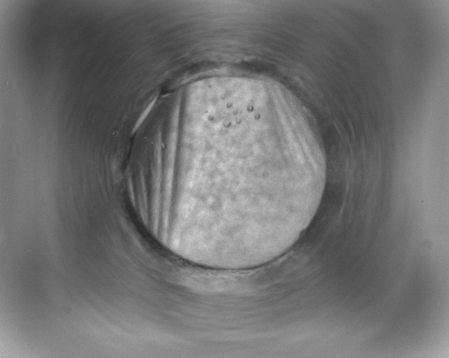 X0000068740040200605192356