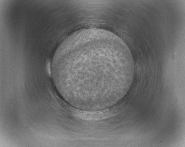 X0000068740042200605192356