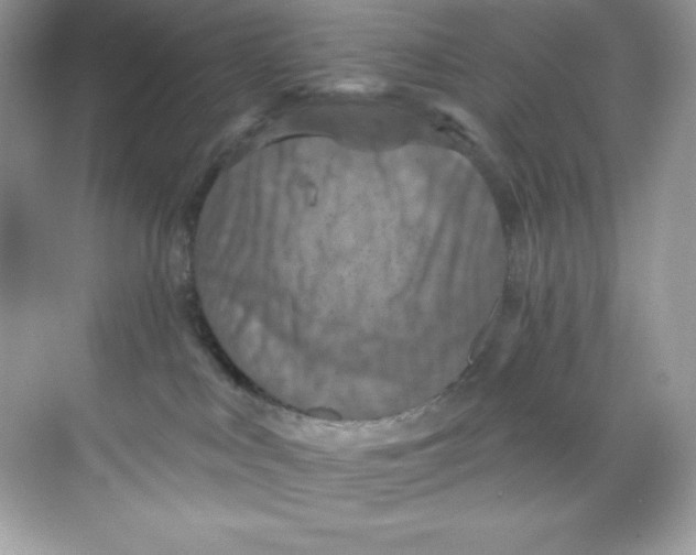 X0000068740043200605192356