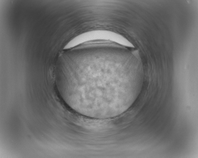 X0000068740044200605192356