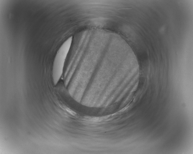 X0000068740045200605192356