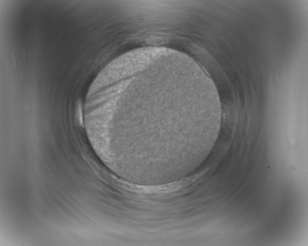 X0000068740046200605192356