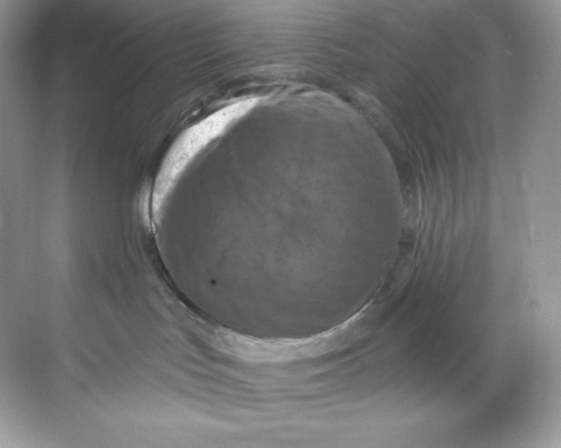 X0000068740047200605192356