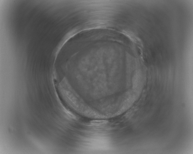 X0000068740051200605192355