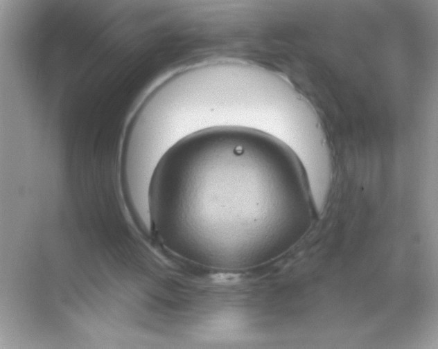 X0000068740052200605192355