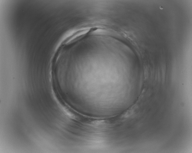 X0000068740054200605192355