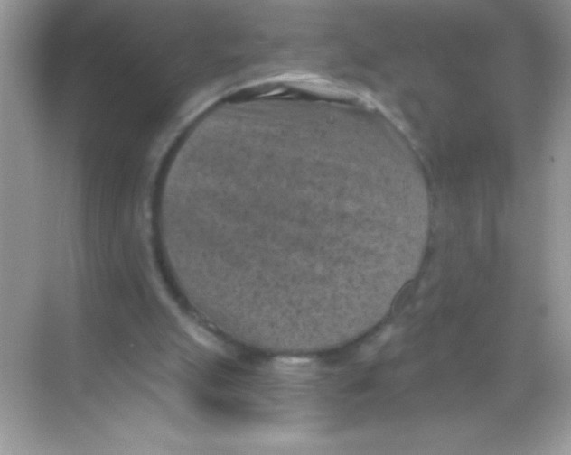 X0000068740055200605192355