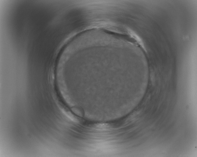 X0000068740059200605192355