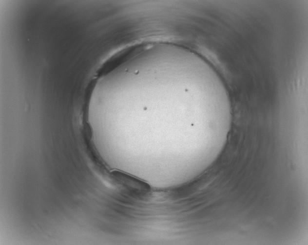 X0000068740060200605192355