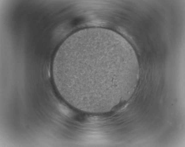 X0000068740062200605192355