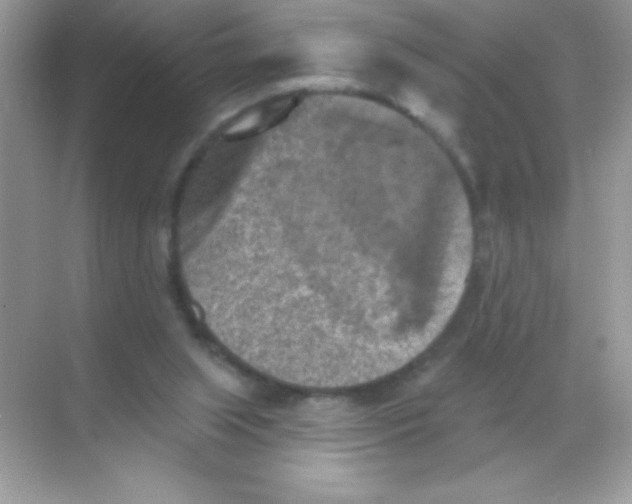 X0000068740063200605192355