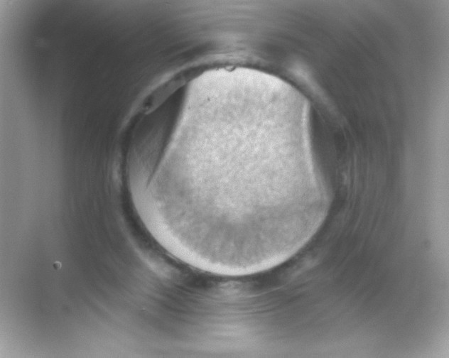 X0000068740064200605192356