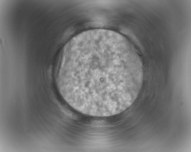 X0000068740066200605192356