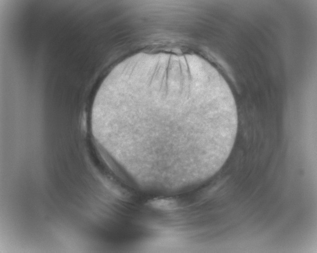 X0000068740067200605192356