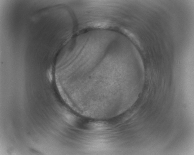 X0000068740069200605192356