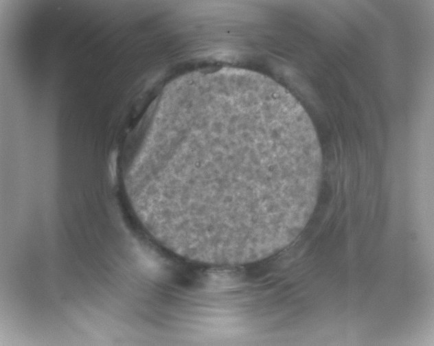 X0000068740070200605192356