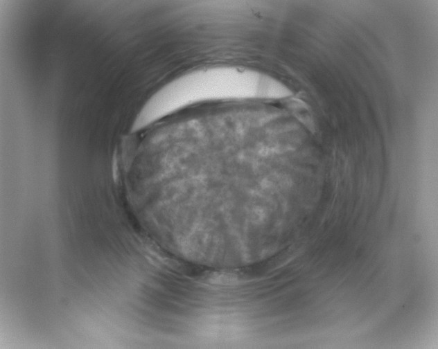 X0000068740075200605192356