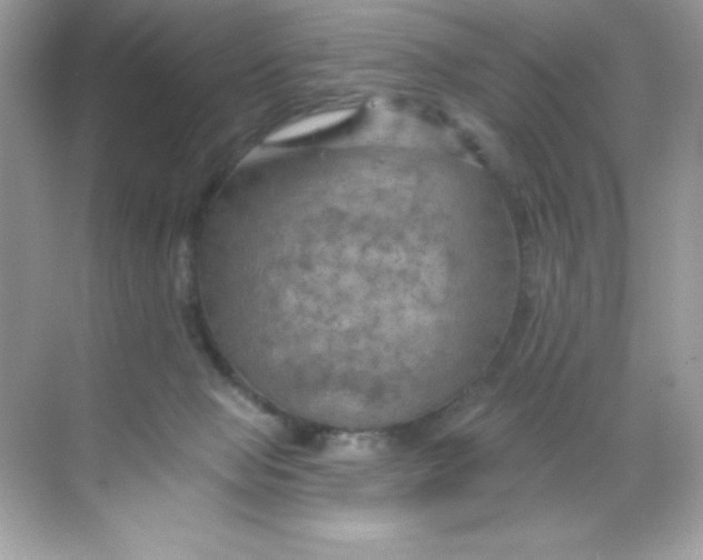 X0000068740077200605192356